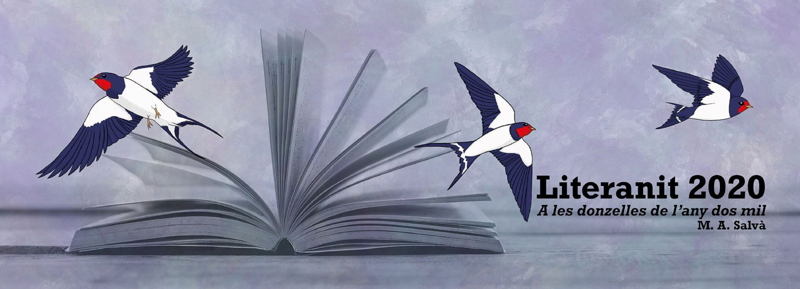 Banner web - Literanit 2020